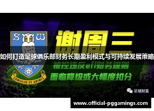 如何打造足球俱乐部财务长期盈利模式与可持续发展策略
