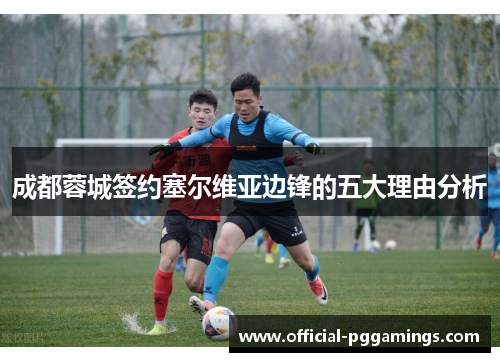 成都蓉城签约塞尔维亚边锋的五大理由分析