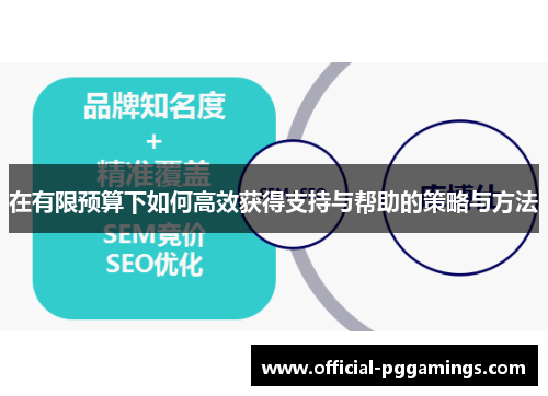 在有限预算下如何高效获得支持与帮助的策略与方法