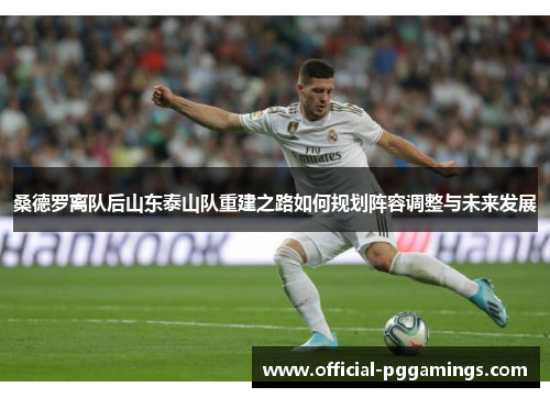 桑德罗离队后山东泰山队重建之路如何规划阵容调整与未来发展