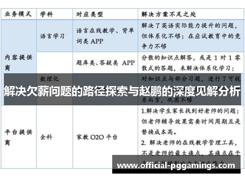 解决欠薪问题的路径探索与赵鹏的深度见解分析