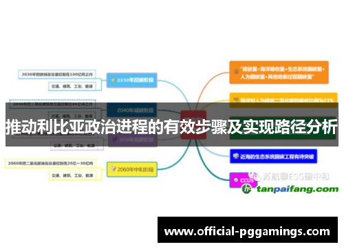 推动利比亚政治进程的有效步骤及实现路径分析