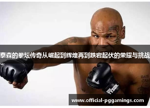 泰森的拳坛传奇从崛起到辉煌再到跌宕起伏的荣耀与挑战 泰森的拳坛传奇从崛起到辉煌再到跌宕起伏的荣耀与挑战