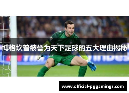 博格坎普被誉为天下足球的五大理由揭秘 博格坎普被誉为天下足球的五大理由揭秘