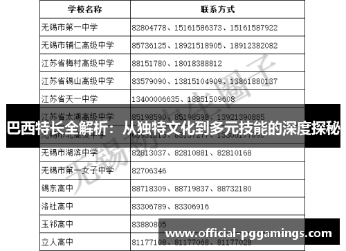 巴西特长全解析：从独特文化到多元技能的深度探秘