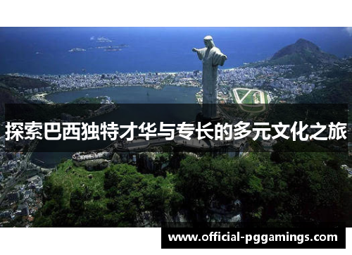 探索巴西独特才华与专长的多元文化之旅